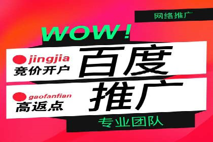 百度广告投放策略优化的经典案例